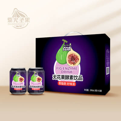 Fig ferment beverage